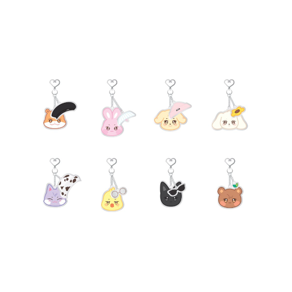 [ANITEEZ IN ILLUSION] OFFICIAL MD - ACRYLIC KEYRING