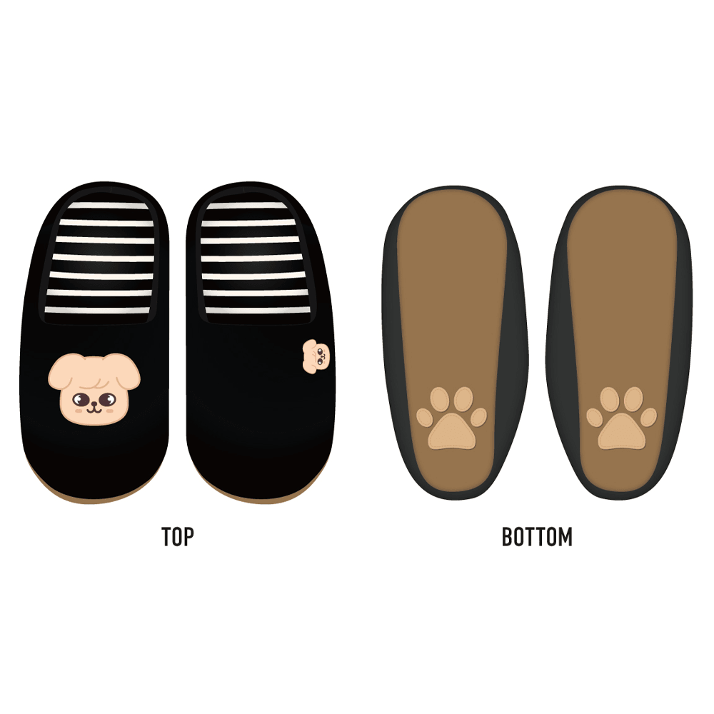 [5 STAR DOME TOUR] ROOM SHOES Produced By Seungmin / Stray Kids - KKANG