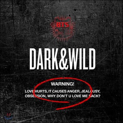 BTS 1st Album – Dark & Wild
