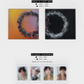 The Rose – DUAL (Jewel Case Album) (Dusk Ver.)