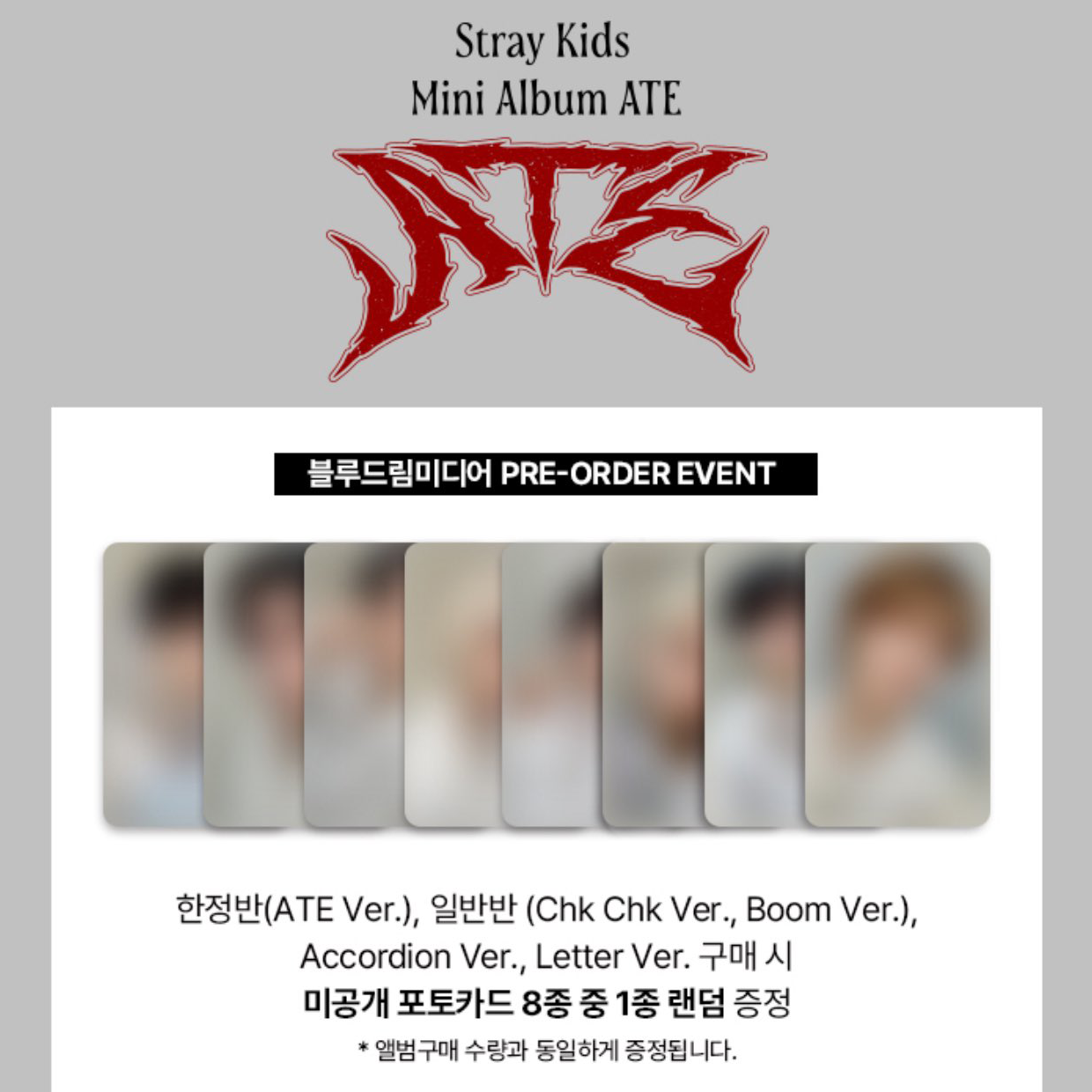 Stray Kids ATE BDM Pre Order Benefit Photocard