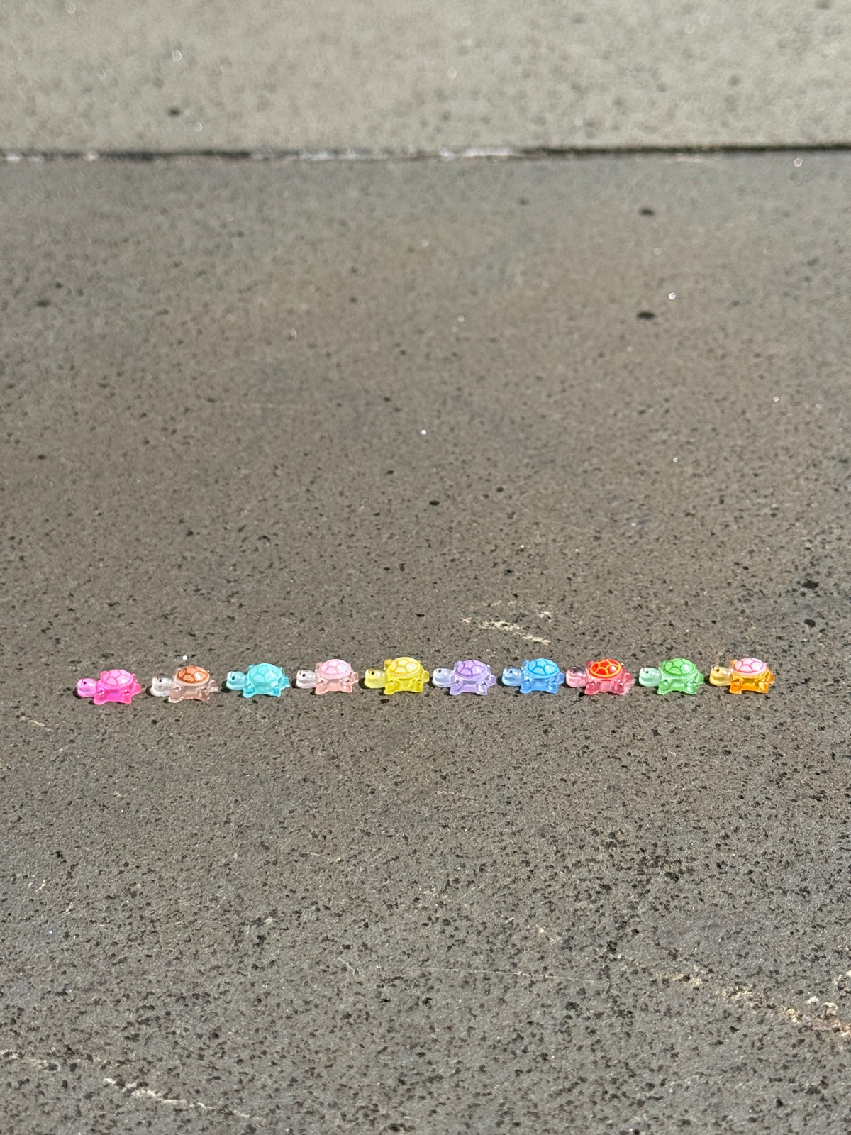 Lucky Turtle (10PC)