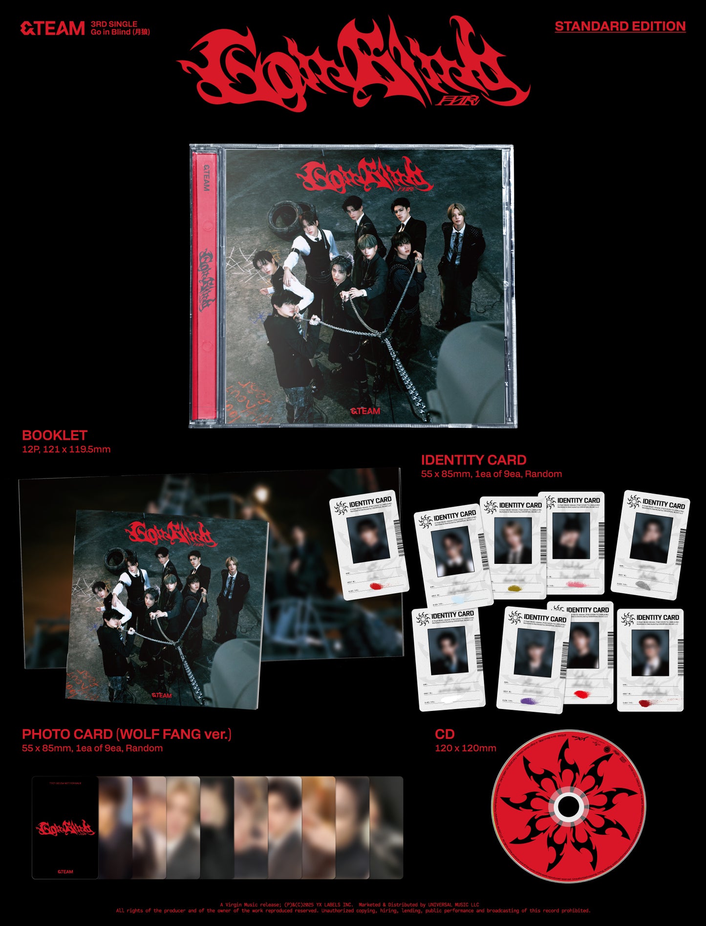 &TEAM 3rd SINGLE – Go in Blind (STANDARD EDITION)