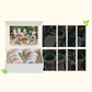 [SKZ Little Forest] Nacific Vegan Butter Balm Special Edition - KKANG