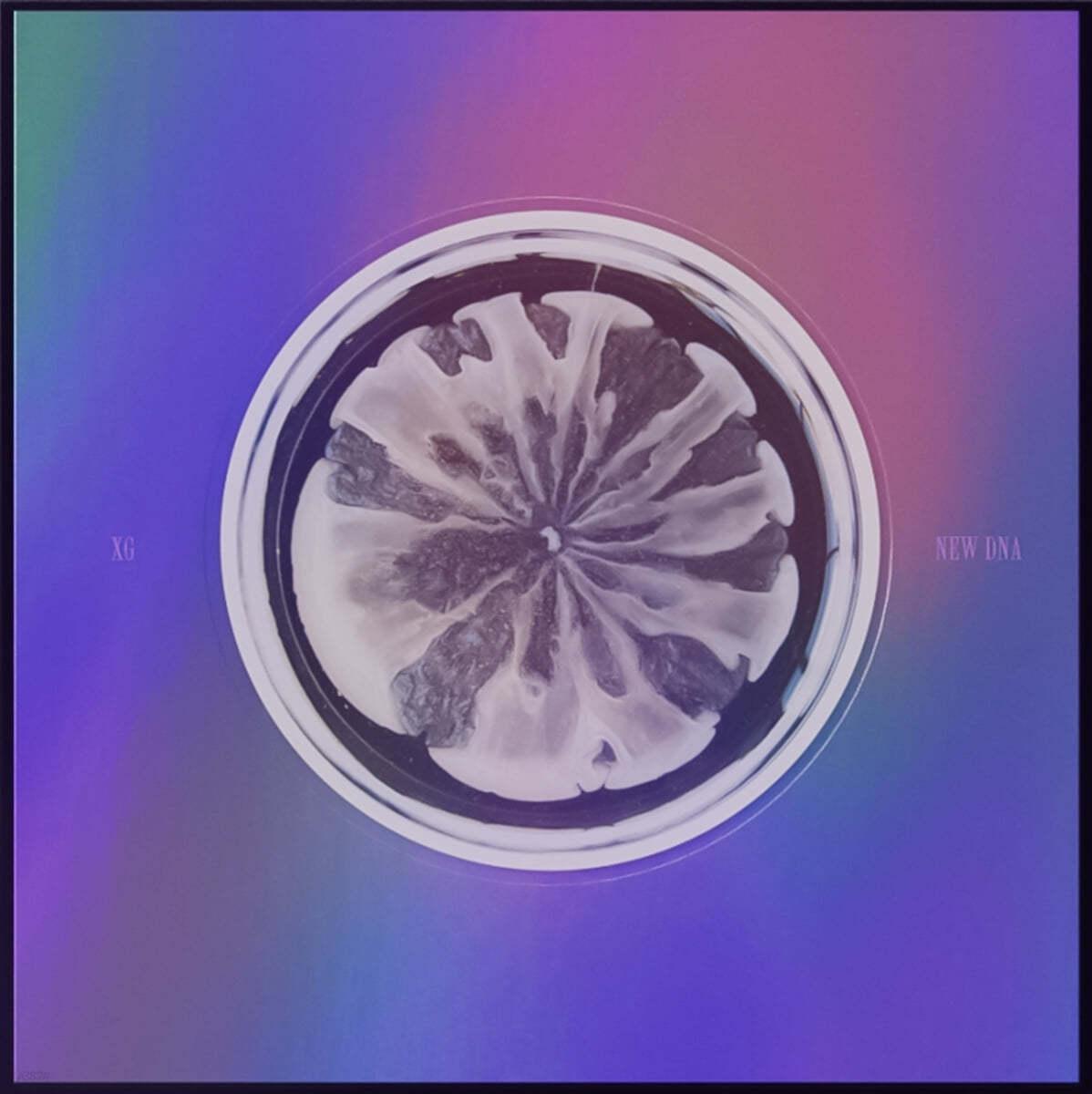 XG Mini Album Vol. 1 - NEW DNA - KKANG